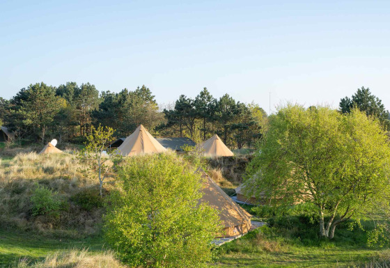 Glamping tenten in Little Canvas Escape, een vakantiepark in Friesland, Nederland, tussen het groen.