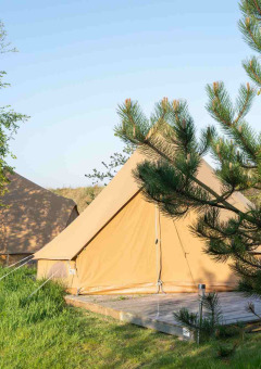 Dos tiendas de campaña rodeadas de árboles y césped en Little Canvas Escape, un parque vacacional en Frisia, Países Bajos.