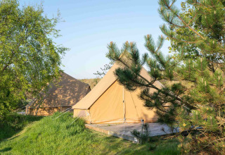 Deux tentes de glamping entourées d’arbres et d’herbe à Little Canvas Escape, parc de vacances en Frise, Pays-Bas.
