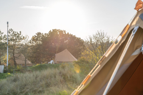 Zonnige kampeerplek met glampingtenten en bomen bij Little Canvas Escape in Friesland, Nederland.