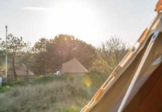 Zonnige kampeerplek met glampingtenten en bomen bij Little Canvas Escape in Friesland, Nederland.