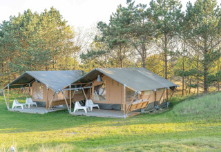 To glampingtelte på trædæk omgivet af grønne træer i Little Canvas Escape, Friesland, Holland.