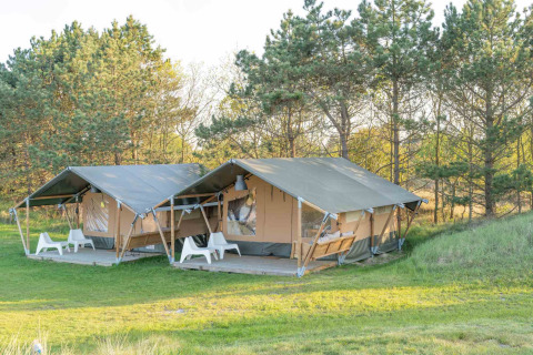 Two safari-style glamping tents on wooden decks in a forest setting at Little Canvas Escape, Friesland.
