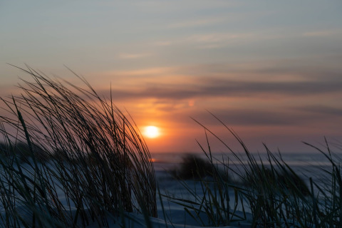 Sonnenuntergang am Strand mit Dünengras im Vordergrund im Little Canvas Escape, Friesland, Niederlande.