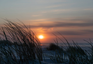 Solnedgang over stranden med marehalm i forgrunden på Little Canvas Escape, Friesland, Holland.