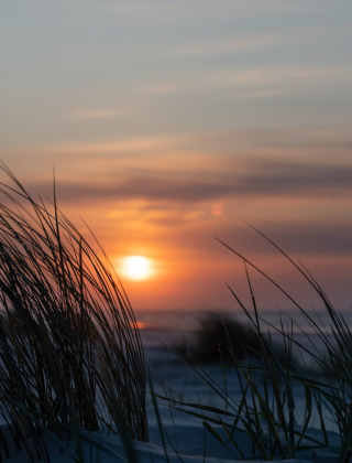 Sonnenuntergang am Strand mit Dünengras im Vordergrund im Little Canvas Escape, Friesland, Niederlande.