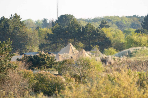 Zelte eingebettet in die Natur im Little Canvas Escape, einem Ferienpark in Friesland, Niederlande.