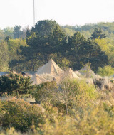 Zelte eingebettet in die Natur im Little Canvas Escape, einem Ferienpark in Friesland, Niederlande.