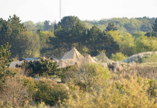 Telt gemt blandt træer og natur i Little Canvas Escape, feriepark i Friesland, Holland, for glamping.