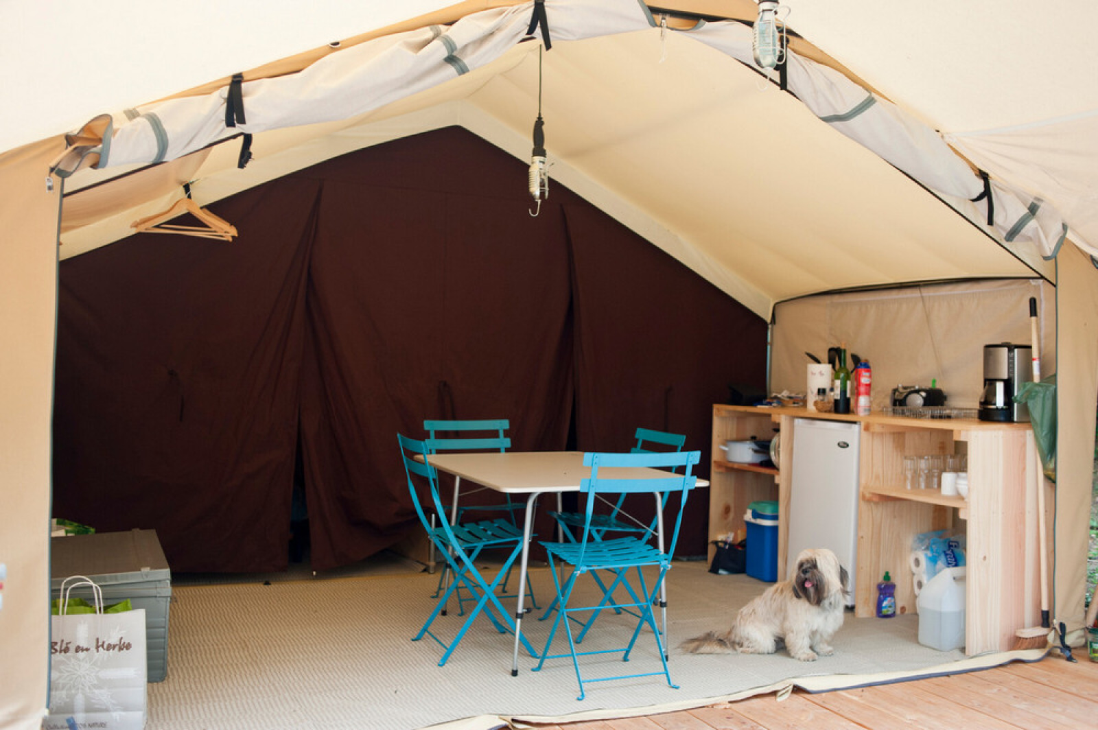 Interieur van een safaritent-bungalow met blauwe stoelen, kitchenette en een hond binnen.