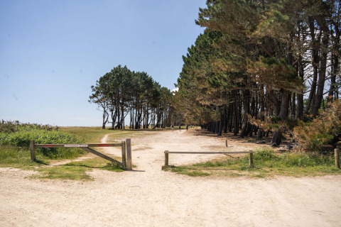 Entrada a un sendero arenoso bordeado de pinos en Camping Kost Ar Moor, parque vacacional en Bretaña, Francia.