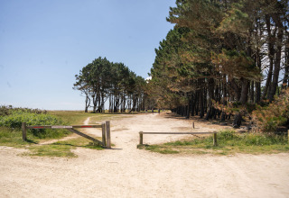 Entrada a un sendero arenoso bordeado de pinos en Camping Kost Ar Moor, parque vacacional en Bretaña, Francia.