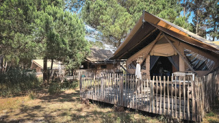 Safari-Trapper-Zelt mit Holzterrasse in einem Kiefernwald, eine Person steht am Zelteingang.