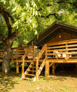 Safari Lodge + Teeny Lodge: Tienda safari elevada sobre plataforma de madera con hamaca, en entornos naturales verdes.