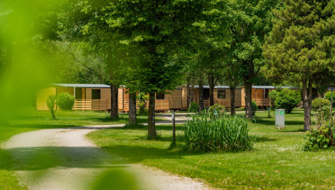 Zona de camping verde con cabañas de madera y árboles en el albergue Wood Cubes, entorno natural.