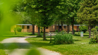 Zona de camping verde con cabañas de madera y árboles en el albergue Wood Cubes, entorno natural.