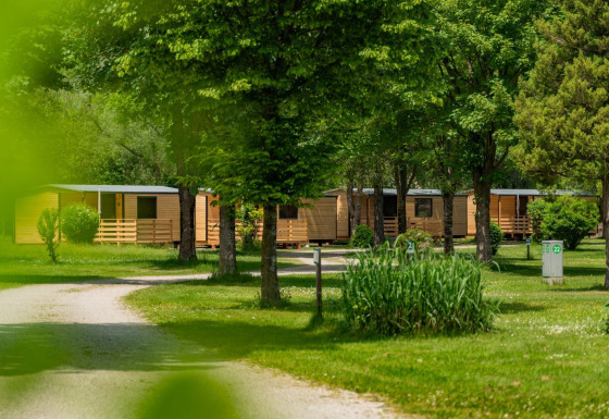 Groene camping met houten chalets, bomen en wandelpaadjes bij Wood Cubes lodge, rustige sfeer.