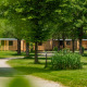 Grøn campingplads med træskure, stier og frodige træer hos lodge Wood Cubes omgivet af natur.