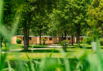 Holzhütten im Drau Camping Sachsenburg in Österreich, eingebettet in grüne Bäume und Natur.