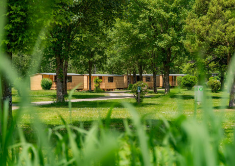 Cabañas de madera en Wood Cubes, Drau Camping Sachsenburg, Austria, entre árboles y césped verde.