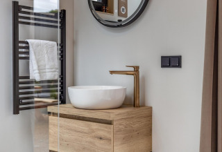 Modern badkamer in Tiny Wellness Suite bij Holiday Park De IJsvogel, met waskom en houten wastafelmeubel.