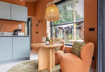 Modern tiny house interior with kitchenette and cozy seating at Tiny Wellness Suite, De IJsvogel, Netherlands.