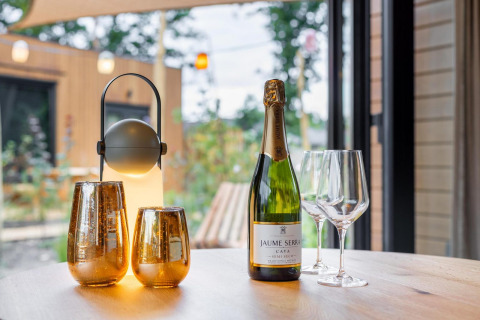 Ambiente acogedor con cava Jaume Serra, copas y lámpara en Tiny Wellness Suite de De IJsvogel, Países Bajos.