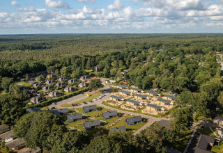 Vue aérienne de Tiny Wellness Suite et des petites maisons au Holiday Park De IJsvogel, Pays-Bas, près d'une forêt.