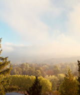 Vista de árboles verdes y ligera niebla cerca de Vittel, Grand Est, Francia, en una mañana luminosa.