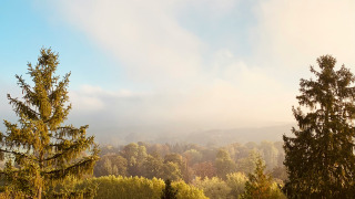 Vista de árboles verdes y ligera niebla cerca de Vittel, Grand Est, Francia, en una mañana luminosa.