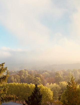 Vista de árboles verdes y ligera niebla cerca de Vittel, Grand Est, Francia, en una mañana luminosa.