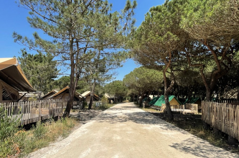 Camino de tierra soleado entre árboles y tiendas glamping en Village Huttopia Lagoa de Óbidos, Portugal.