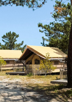 Glamping-telte blandt fyrretræer på Village Huttopia Lagoa de Óbidos feriepark i det centrale Portugal.