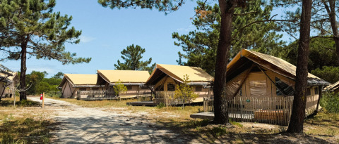 Glamping-tenten tussen de dennenbomen bij Village Huttopia Lagoa de Óbidos in Centraal-Portugal.