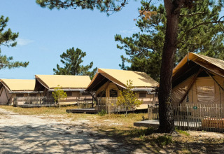 Glamping-telte blandt fyrretræer på Village Huttopia Lagoa de Óbidos feriepark i det centrale Portugal.