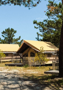 Tiendas glamping entre pinos en Village Huttopia Lagoa de Óbidos, un parque vacacional del centro de Portugal.