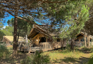 Tenten en hutten tussen bomen bij vakantiepark Huttopia Lagoa de Óbidos in Centraal-Portugal.