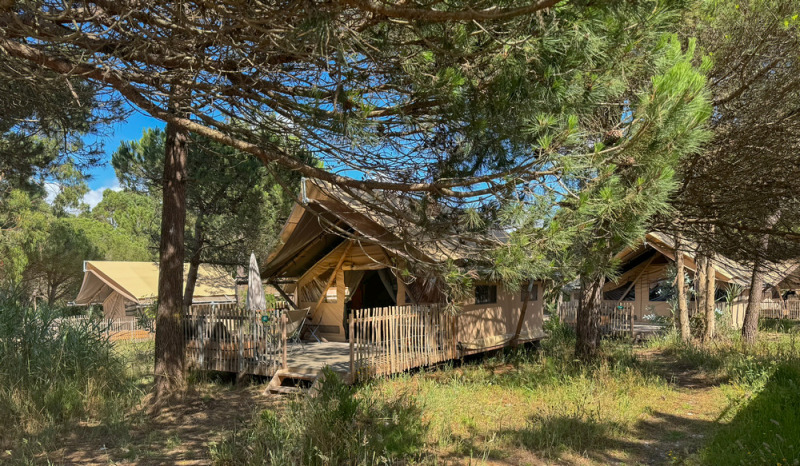 Tents and cabins nestled among trees at Huttopia Lagoa de Óbidos holiday park in Central Portugal.