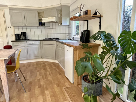 Retro Lodge keuken met lichte kasten, houten tafel, gele stoel en grote plant in Het Verscholen Dorp.