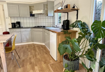 Cocina de Retro Lodge con armarios claros, mesa de madera, silla amarilla y gran planta en Het Verscholen Dorp.
