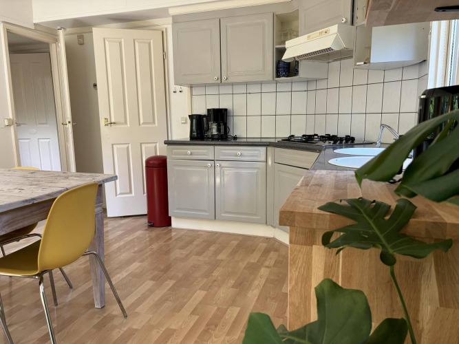 Keuken in Retro Lodge bij Bungalowpark Het Verscholen Dorp in Nederland, met tafel, stoelen en planten.