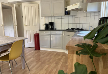 Keuken in Retro Lodge bij Bungalowpark Het Verscholen Dorp in Nederland, met tafel, stoelen en planten.