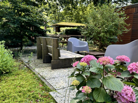 Buitenpatio met hortensia’s en zitplaatsen bij Retro Lodge in Bungalowpark Het Verscholen Dorp in Nederland.