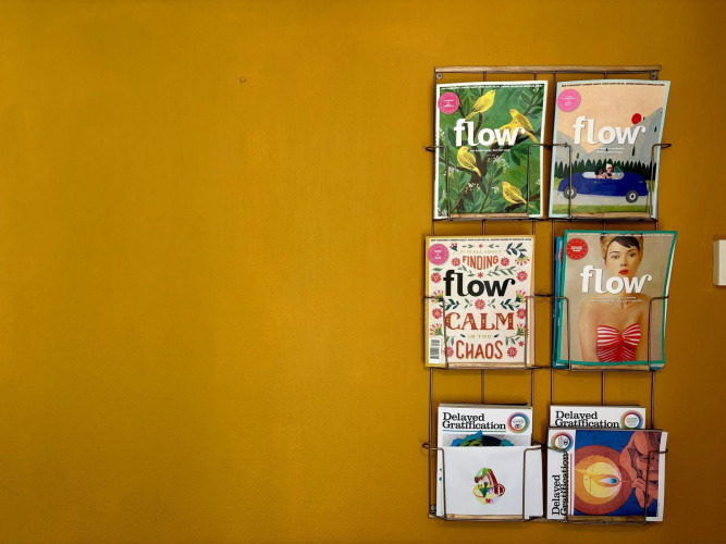 Revistero en pared mostaza con revistas Flow y Delayed Gratification en Tiny Lodge Basic, Países Bajos.