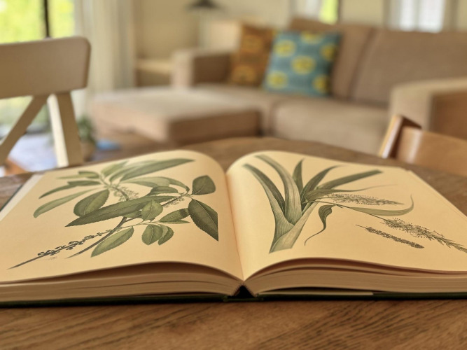 Libro botánico abierto sobre una mesa en la acogedora sala de Tiny Lodge Basic, Bungalowpark Het Verscholen Dorp.