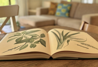 Libro botanico aperto su un tavolo nel soggiorno accogliente del Tiny Lodge Basic a Het Verscholen Dorp.