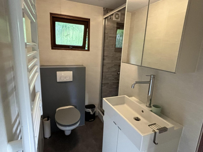 Baño moderno en Tiny Lodge Basic en Bungalowpark Het Verscholen Dorp, con ducha, inodoro y lavabo.