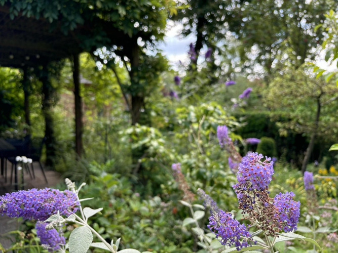 Vista de jardín en Tiny Lodge Basic, Bungalowpark Het Verscholen Dorp, Países Bajos, con flores moradas en primer plano.