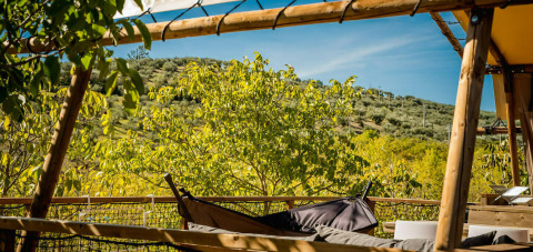 Blick aus dem Desert Lodge Safarizelt mit privatem Bad auf Camping Pian di Boccio, Italien, umgeben von Natur.