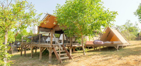 Tienda safari Desert Lodge con baño privado, terraza de madera, árboles verdes y ambiente soleado.
